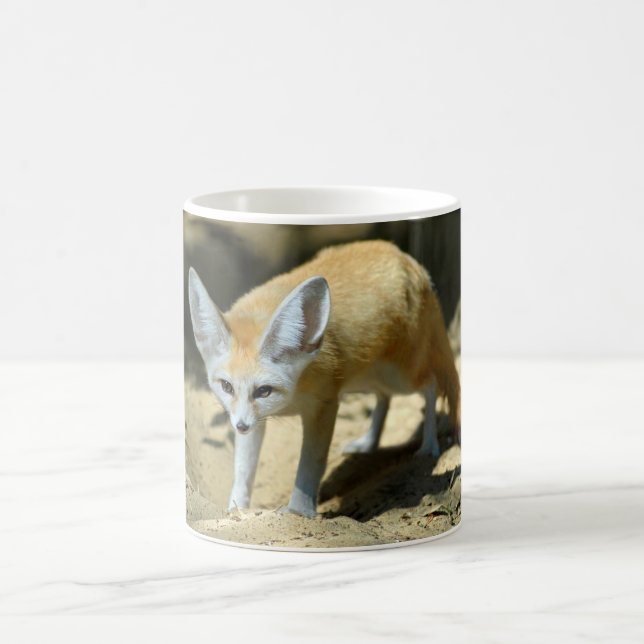 Taza De Café Zorro de Fennec (Centro)