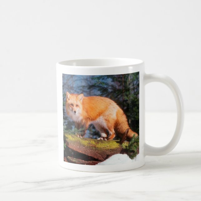 Taza De Café Zorro Rojo en un tronco (Derecha)