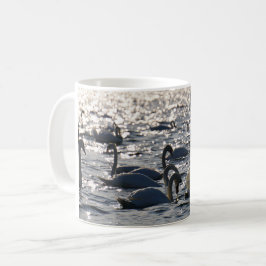 Taza De Café Zwanen in een groep op het water met glinsterend z