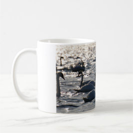 Taza De Café Zwanen in een groep op het water met glinsterend z