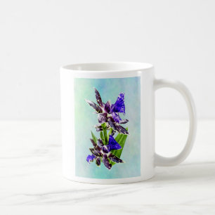 Taza De Café Zygo Advance Australia HOF