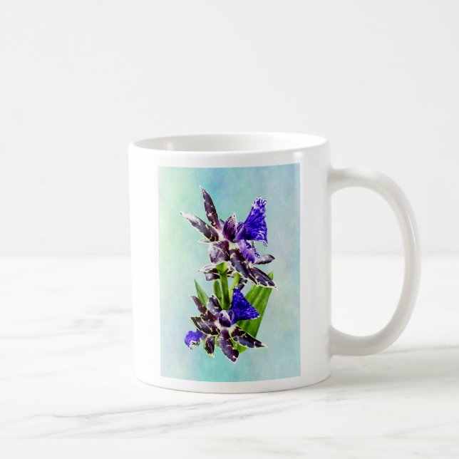 Taza De Café Zygo Advance Australia HOF (Derecha)