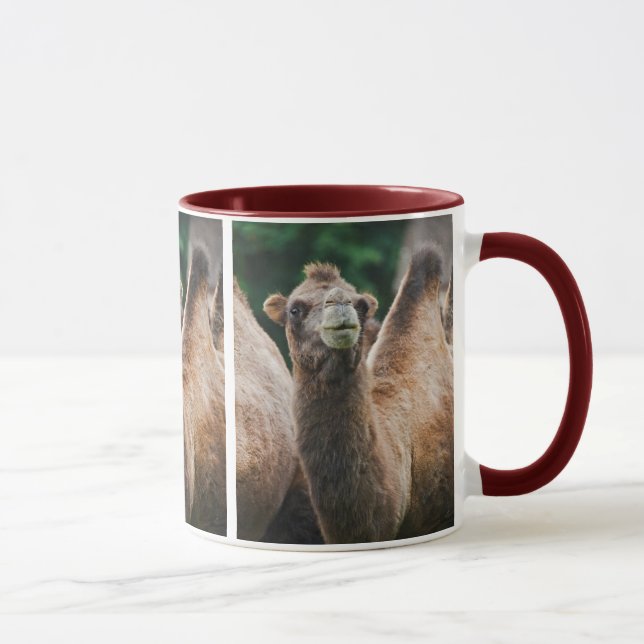 Taza de Camello Bactriano (Derecha)