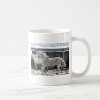 Taza de campeones