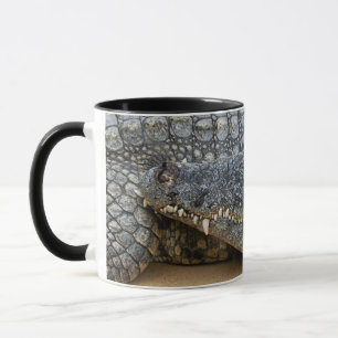 Taza de Cocodrilos