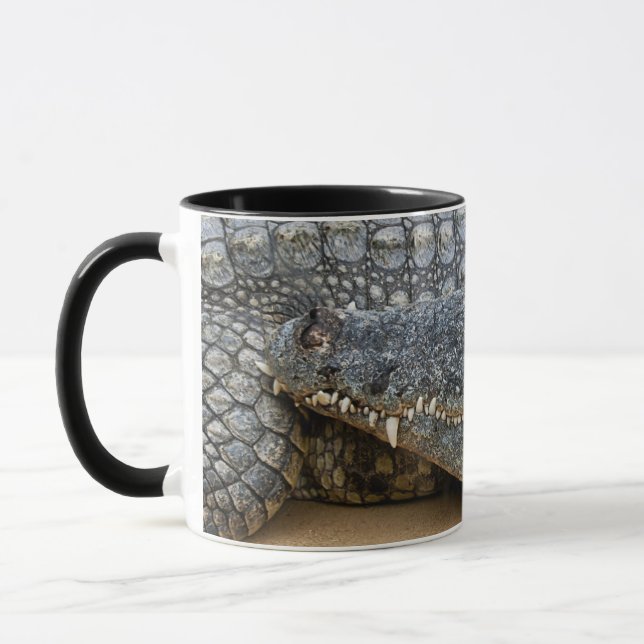 Taza de Cocodrilos (Izquierda)
