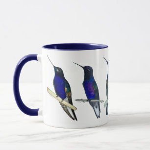 Taza de colibríes Corona de Púrpura Terciopelo