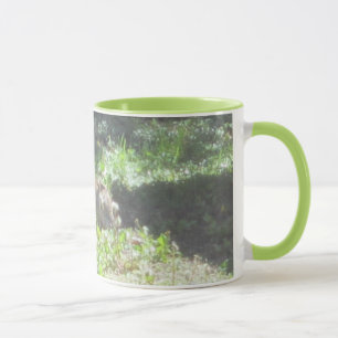 Taza de conejo salvaje