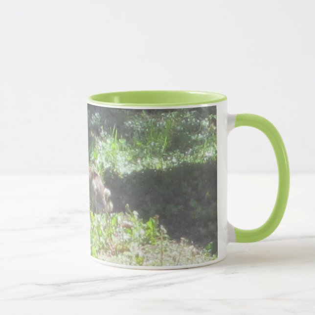 Taza de conejo salvaje (Derecha)