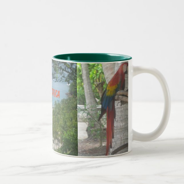 Taza de Costa Rica (Derecha)