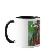 Taza de Costa Rica