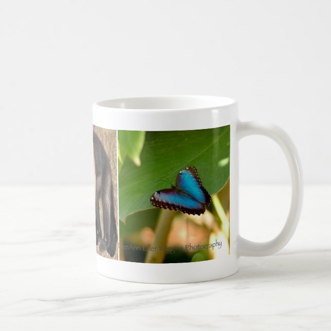 Taza de Costa Rica (Derecha)