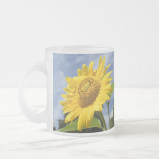 Taza De Cristal Esmerilado 10,000 Suns