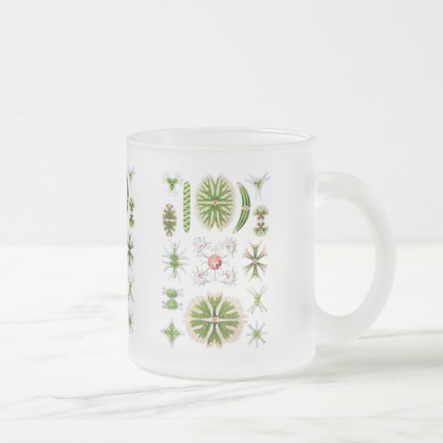 Taza De Cristal Esmerilado Algas (Derecha)