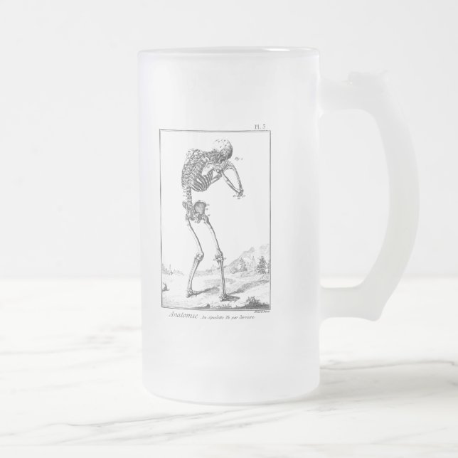 Taza De Cristal Esmerilado Anatomía médica esquelética humana antigua del (Derecha)
