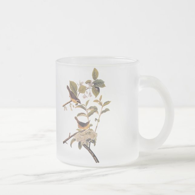 Taza De Cristal Esmerilado Aves amarillentas de Maryland de Audubon con flore (Derecha)