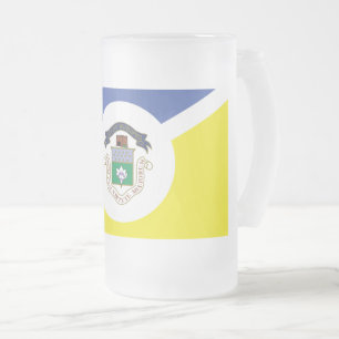 Taza De Cristal Esmerilado Bandera de Winnipeg, Mug de Cerveza de Cristal Esc