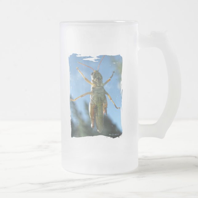Taza De Cristal Esmerilado Belly hasta la barra (Derecha)