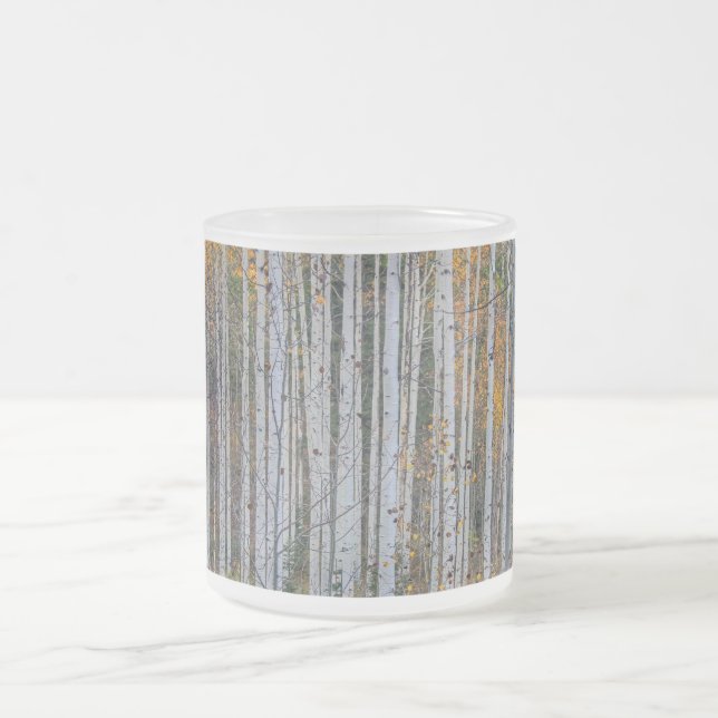 Taza De Cristal Esmerilado Bosque arbóreo de Birch (Centro)