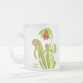 Taza De Cristal Esmerilado Californica del Darlingtonia, planta carnívora