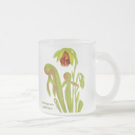 Taza De Cristal Esmerilado Californica del Darlingtonia, planta carnívora