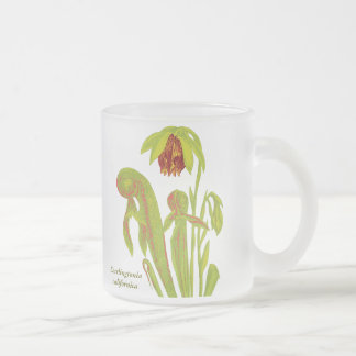 Taza De Cristal Esmerilado Californica del Darlingtonia, planta carnívora