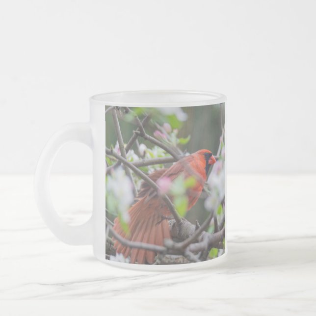 Taza De Cristal Esmerilado Cardenal masculino en primavera (Izquierda)