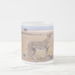 Taza De Cristal Esmerilado Cheetah