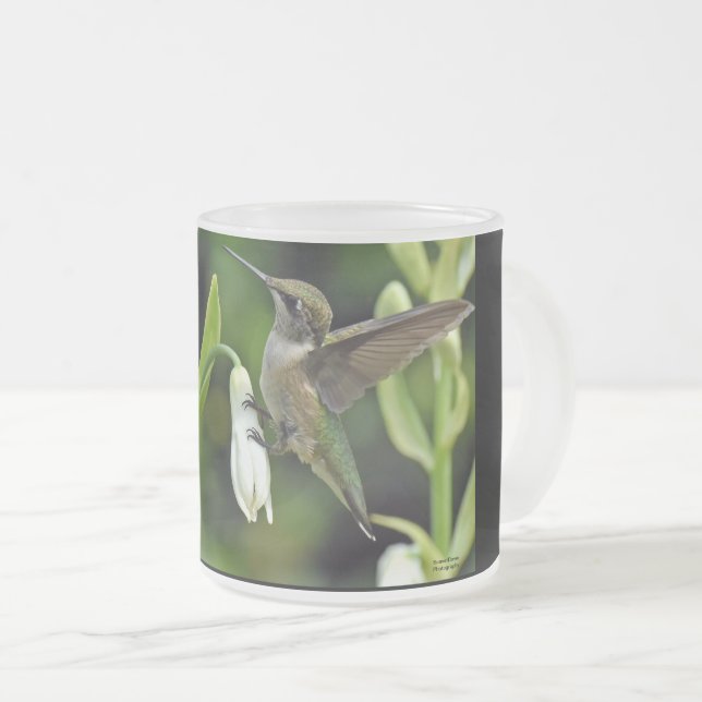 Taza De Cristal Esmerilado Colibrí (Anverso derecho)