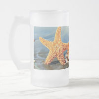 conchas de mar y estrellas de mar en la playa