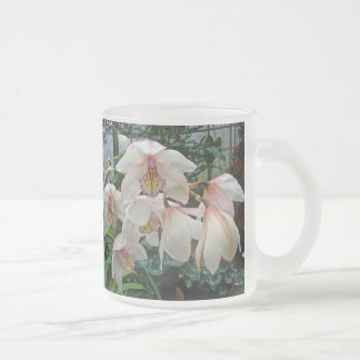 Taza De Cristal Esmerilado Crema y orquídeas rosas