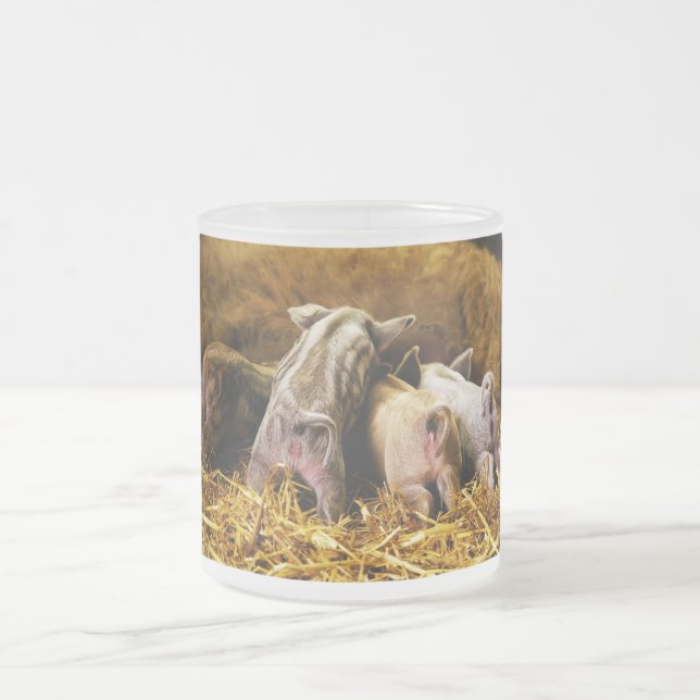 Taza De Cristal Esmerilado Cuatro cerdos de Mangalitsa del cochinillo del (Centro)