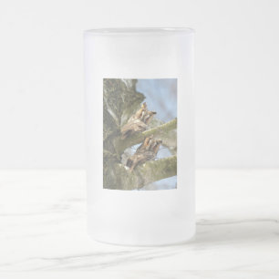 Taza De Cristal Esmerilado Dos búhos en el bosque, aves, vida silvestre Escar