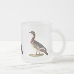 Taza De Cristal Esmerilado El pato de la madera (Anas esponsa)