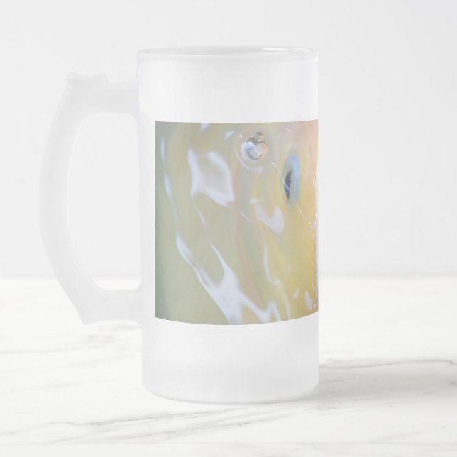 Taza De Cristal Esmerilado Falln Singing Ghost Koi (Izquierda)