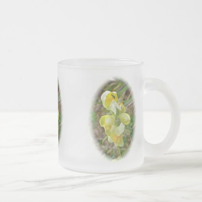 Taza De Cristal Esmerilado Flor silvestre Butter 'n Eggs (Derecha)
