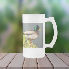 Taza De Cristal Esmerilado Foto de vida silvestre Mallard Duck