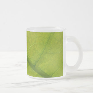 Taza De Cristal Esmerilado Fotografía de la naturaleza botánica de la hoja ve