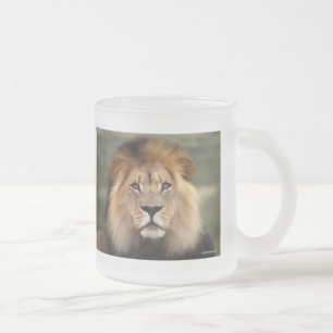 Taza De Cristal Esmerilado Fotografía de los leones