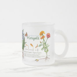 Taza De Cristal Esmerilado Gardener's teatime mug / herbs no2