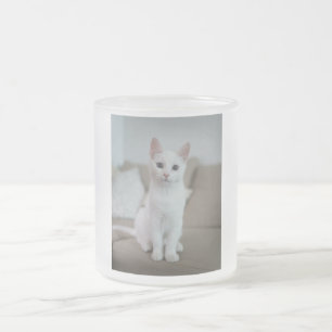 Taza De Cristal Esmerilado Gato blanco   Zazzle_Growshop.