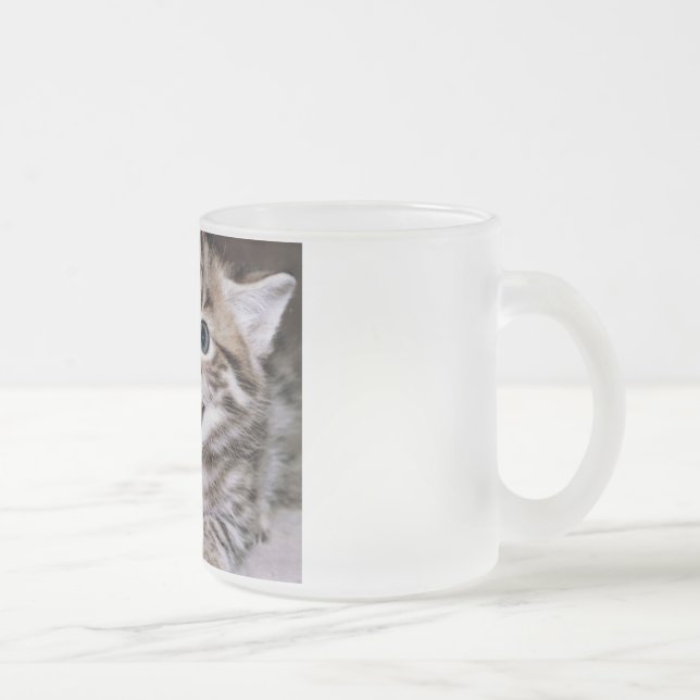 Taza De Cristal Esmerilado Gatos divertidos (Derecha)