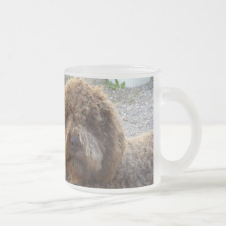 Taza De Cristal Esmerilado givrée avec photo de lagotto-romagnolo del tasse