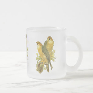 Taza De Cristal Esmerilado Halcón de peregrino