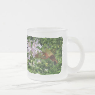 Taza De Cristal Esmerilado Hummingbird Clear Wing Moth en Monarda