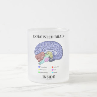 Taza De Cristal Esmerilado Interior del cerebro agotado (Humor cerebral anató