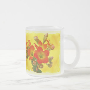 Taza De Cristal Esmerilado Kalanchoe Rojo - Suculento Sunshine