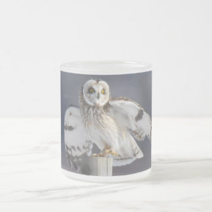 Taza De Cristal Esmerilado Lechuza Corta 2
