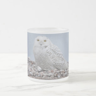Taza De Cristal Esmerilado Lechuza nevada en conchasCafé Mug