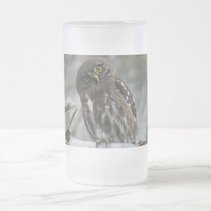 Taza De Cristal Esmerilado Lechuza pigmea del norte